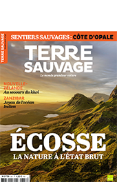 Terre sauvage