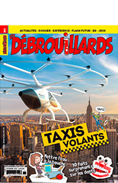 Débrouillards